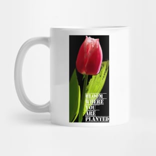 Bloom Where You Are Planted Mug